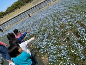 今日の活動4月9日