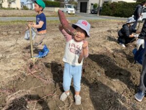 今日の活動11月4日